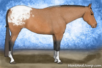 Horse Color:Bay Tobiano Snowcap 