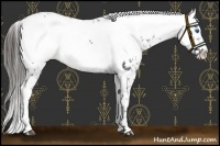 Horse Color:Liver Chestnut Frame Appaloosa 