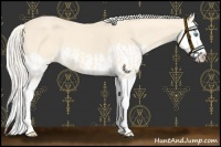 Horse Color:Cremello Splash  and Cremello Splash 