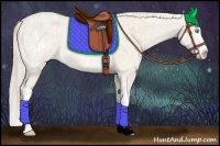 Horse Color:Perlino Roan Sabino Splash Blanket  and Silver Smoky Creme Roan Dun Splash Rabicano 