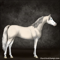 Horse Color:Cremello Splash  and Perlino Splash 