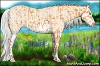 Horse Color:Cremello Splash  and Cremello Splash 