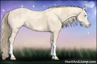 Horse Color:Cremello Splash and Smoky Creme Splash
