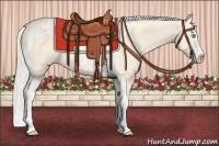 Horse Color:Cremello Splash  and Cremello Splash Tobiano 