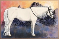 Horse Color:Cremello Splash  and Cremello Splash 