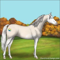 Horse Color:Cremello Splash  and Cremello Splash 