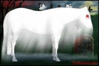 Horse Color:Silver Smoky Creme 