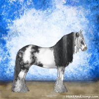 Horse Color:White Spotted Black Sabino Frame