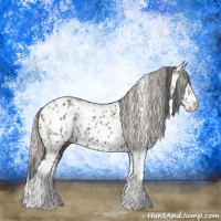 Horse Color:Black Splash Tobiano Near Leopard  and Silver Black Splash Tobiano Near Leopard 