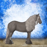 Horse Color:Silver Black 