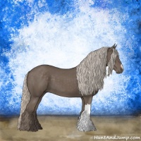 Horse Color:Silver Black 