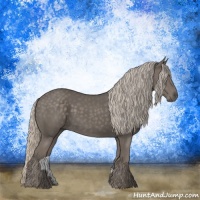 Horse Color:Silver Black 