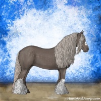 Horse Color:Silver Black 