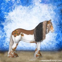 Horse Color:Black Splash  and Chestnut Splash 