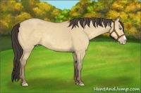 Horse Color:Amber Cream Champagne Dun Splash 
