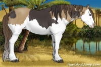 Horse Color:Smoky Black Splash  and Classic Cream Champagne Splash 