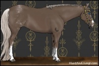 Horse Color:White Spotted Silver Black Splash 