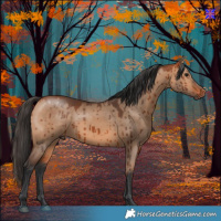 Horse Color:Bay Dun Brindle 