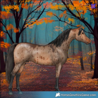 Horse Color:Bay Dun Brindle 