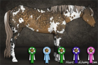 Horse Color:White Spotted Chocolate Palomino 