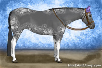 Horse Color:Black Ice Tobiano 