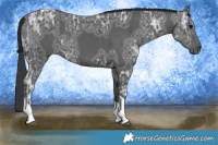 Horse Color:Black Ice Tobiano