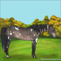 Horse Color:Platinum White Spotted Brown 