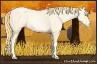Horse Color:Buckskin Pearl Dun Rabicano 