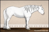 Horse Color:Silver Perlino Dun 