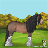Horse Color:Brown 