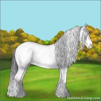 Horse Color:Black Sabino 