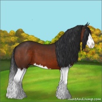 Horse Color:Brown Splash