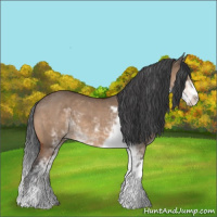 Horse Color:Bay Dun Sabino