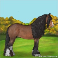 Horse Color:Brown Sabino 