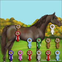 Horse Color:Liver Chestnut Appaloosa