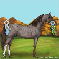 Horse Color:Liver Red Roan 