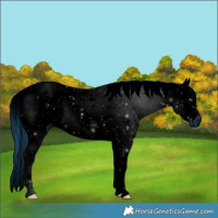 Horse Color:ERROR: UNKNOWN ANOMALY