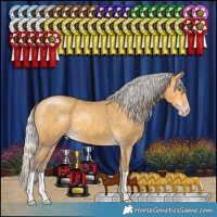 Horse Color:Silver Amber Cream Champagne
