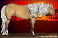 Horse Color:Silver Buckskin Roan 