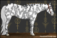 Horse Color:Silver Black Chinchilla Near Leopard 