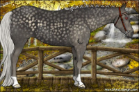 Horse Color:Silver Smoky Black Chinchilla 