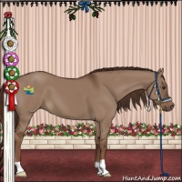 Horse Color:Liver Red Dun