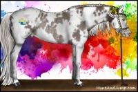Horse Color:White Spotted Liver Chestnut Mushroom Splash Varnish Rabicano 