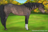 Horse Color:Platinum Brown 