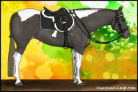 Horse Color:Smoky Black Tobiano Appaloosa 