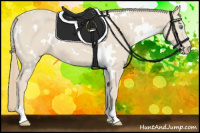 Horse Color:White Spotted Smoky Creme 
