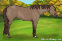 Horse Color:Liver Red Dun Brindle 