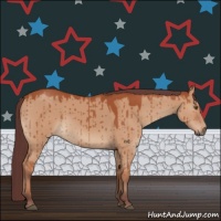 Horse Color:Chocolate Bay Dun Brindle