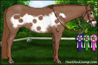 Horse Color:Red Roan Frame