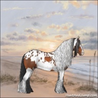 Horse Color:White Spotted Bay  and Bay Frame Blanket 